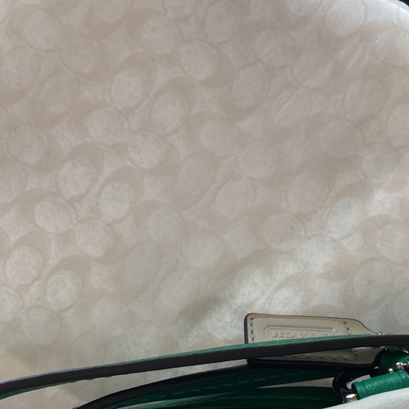 Coach Colorblock Dylan Crossbody bag - Picture 12 of 13